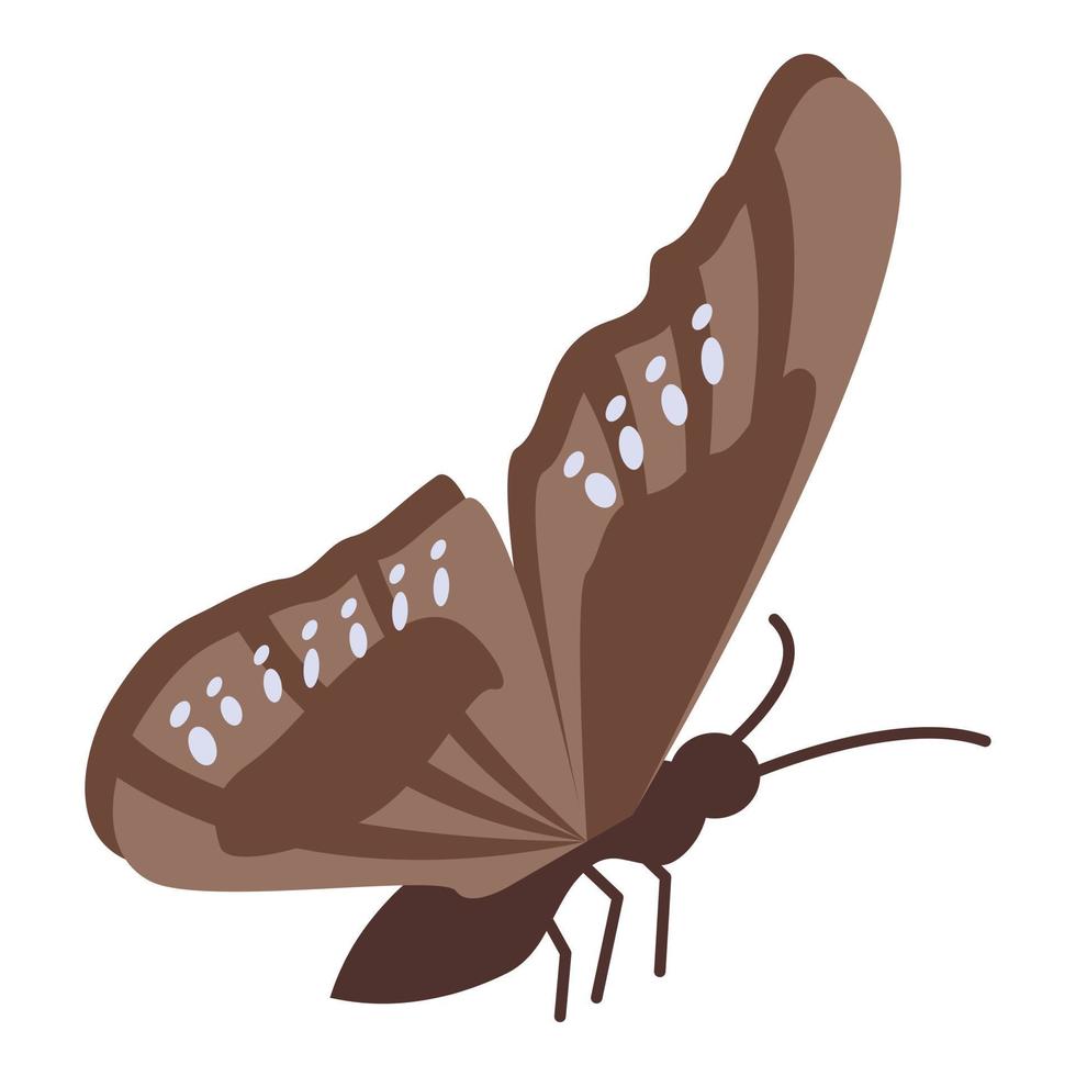 icono de mariposa marrón, estilo isométrico vector