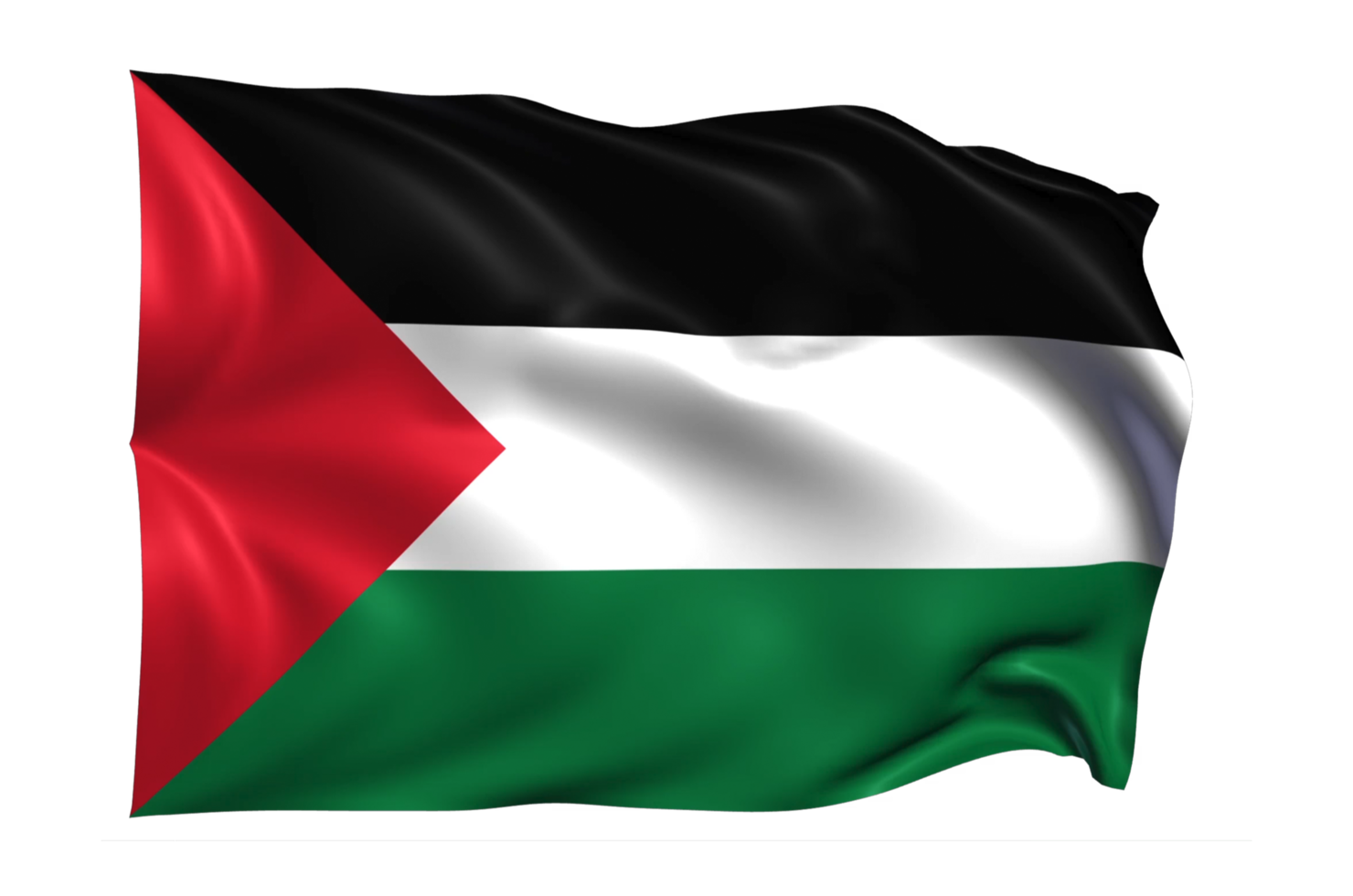 palestina vinka flagga realistisk transparent bakgrund png