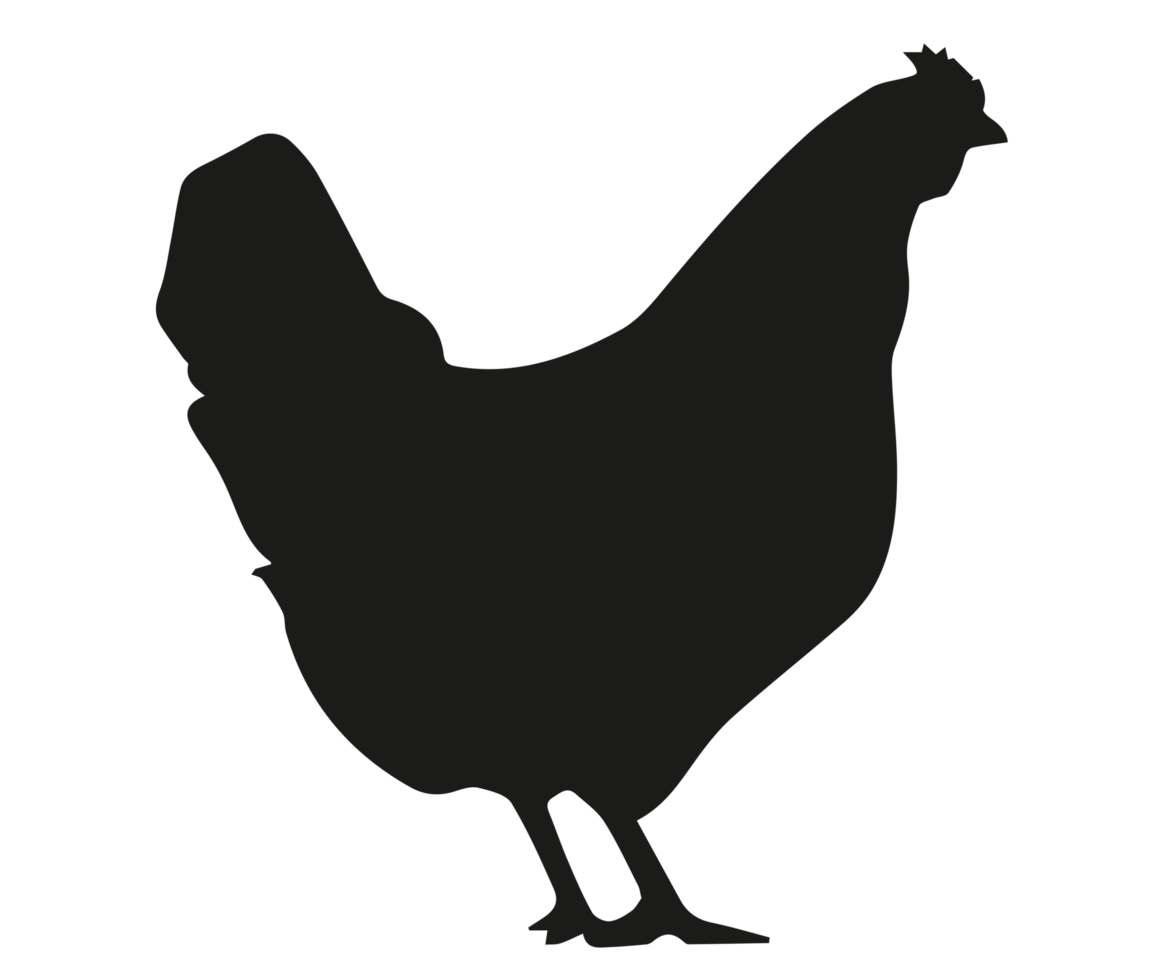 transparentes Huhn auf transparentem Hintergrund png
