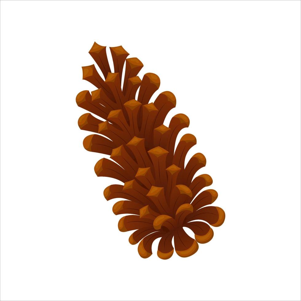 Isolated fir or pine cone on white background. Winter decor, elements of new year design. Vector illustration.