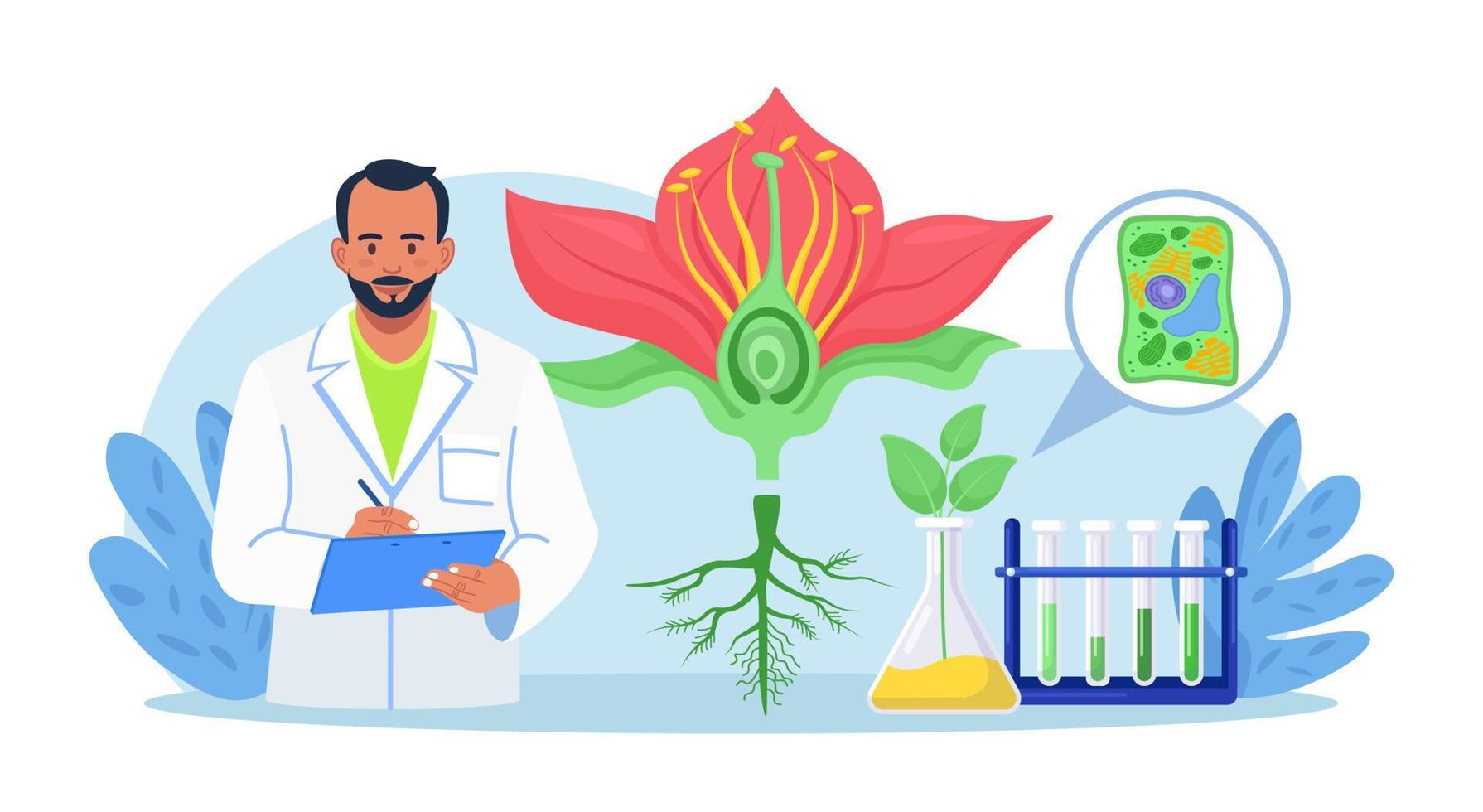 Biology, botany subject. Biologist exploring nature. Scientist make laboratory analysis of life system of plants. Molecular engineering, microbiology. Chemical researcher working with lab equipment vector