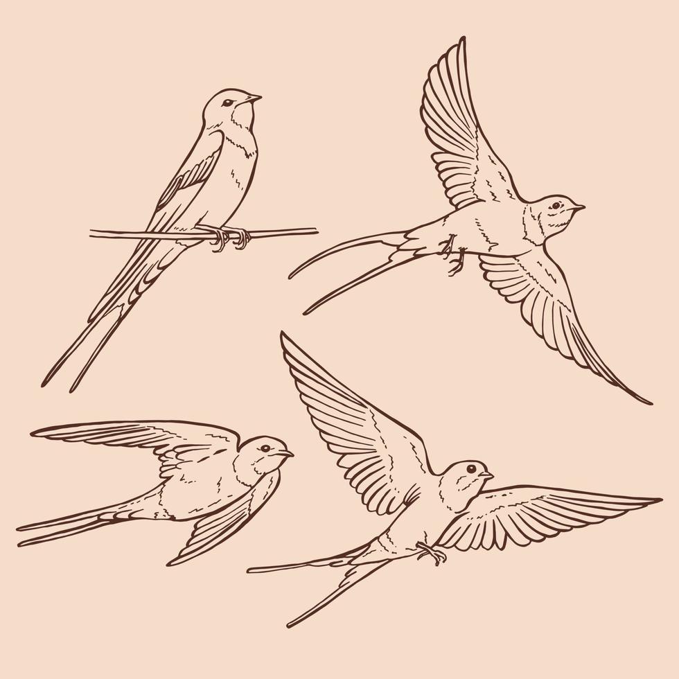 Set of flying swallow. Hand drawn illustration converted to vector. vector