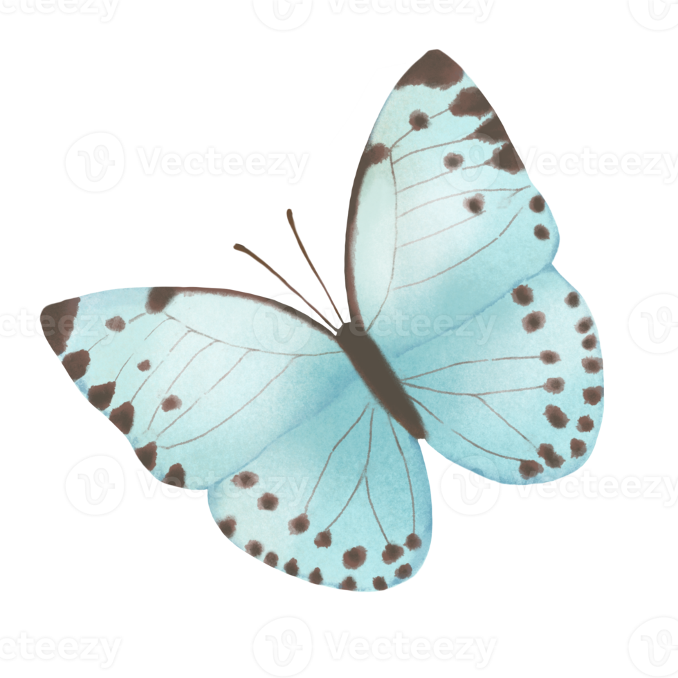 Blue butterfly drawing 15311121 PNG