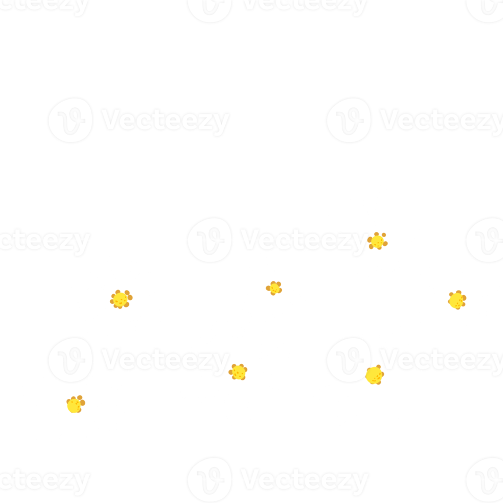 lief kleurrijk bloemen png