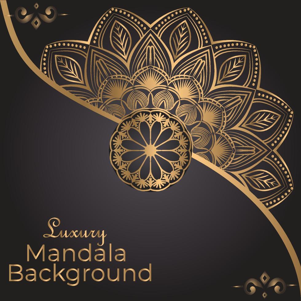 Luxury Mandala Decorative Ethnic Element vector