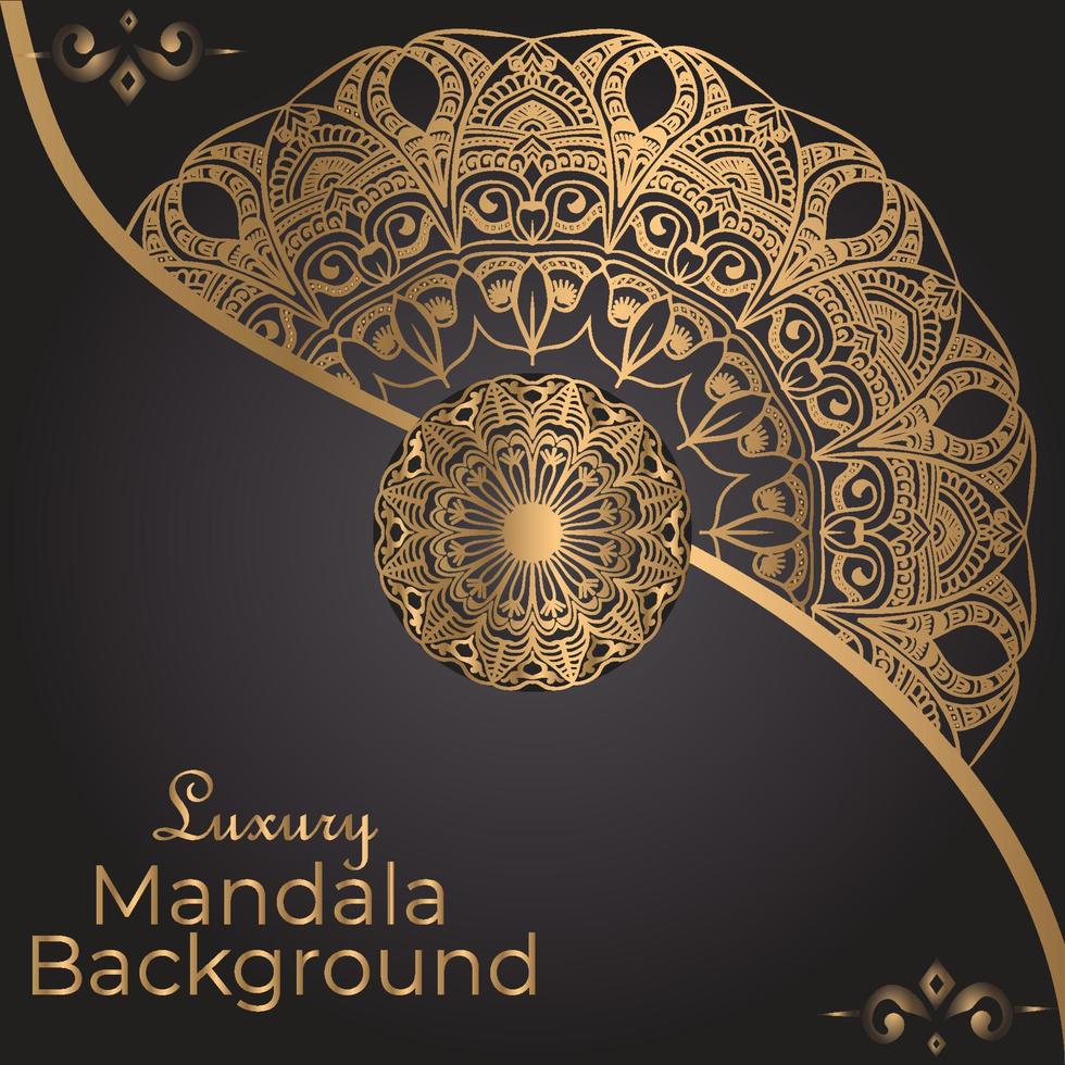 Luxury Mandala Decorative Ethnic Element vector