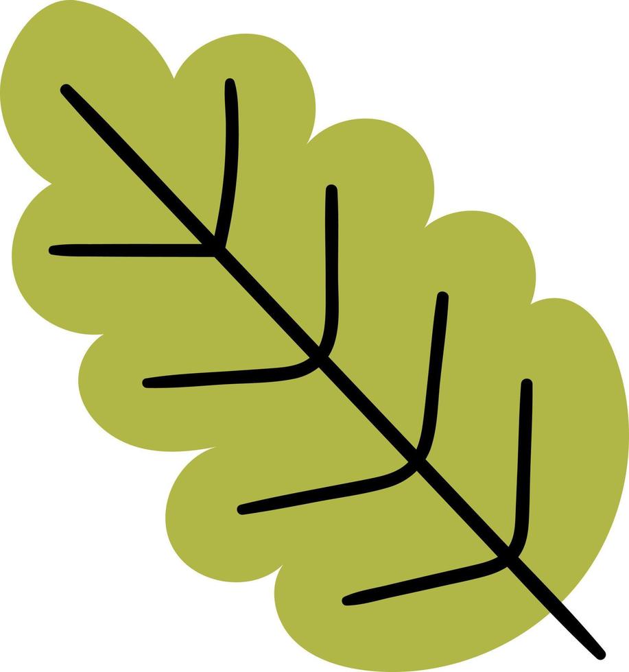 Oak tree leaf  Green colour. vector