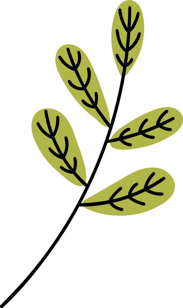Branch with green leaves. vector