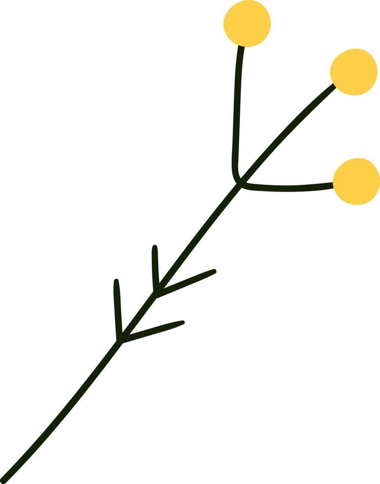 rama con bayas amarillas espino cerval de mar. vector