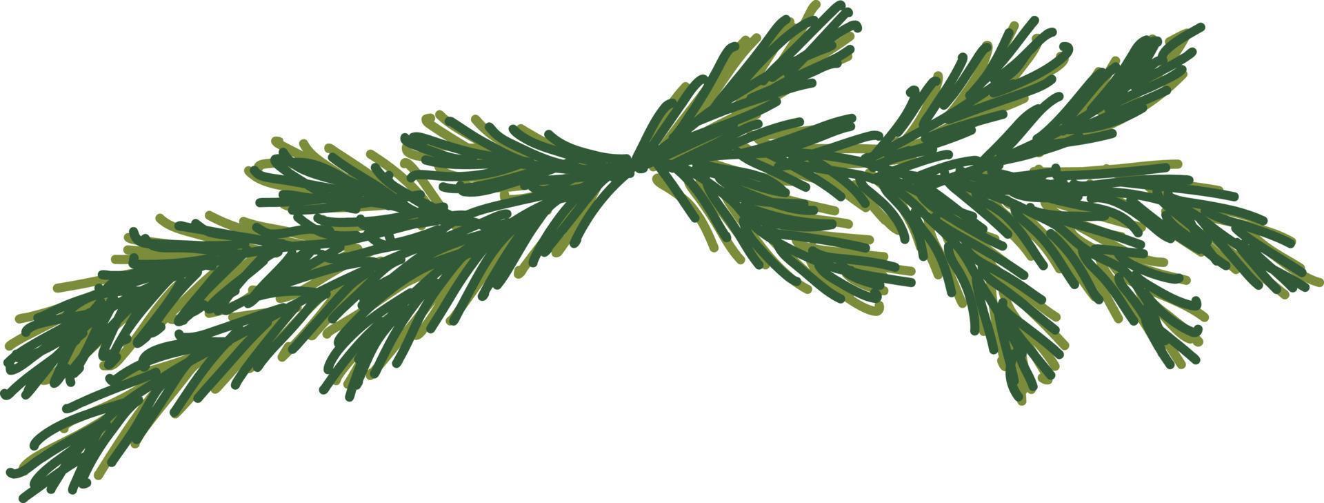 Green branches of the Christmas tree holiday decoration. vector
