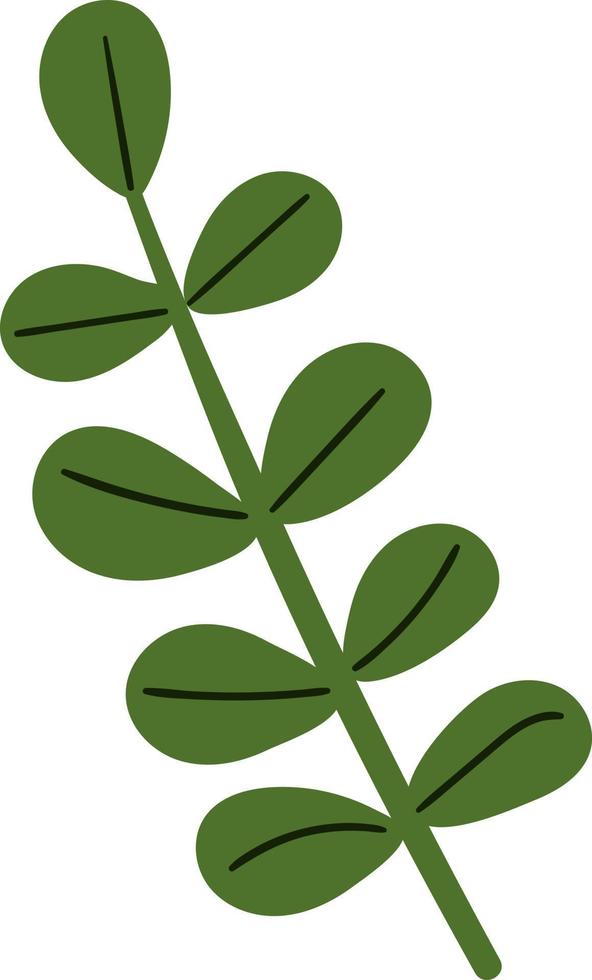Branch with green leaves. vector