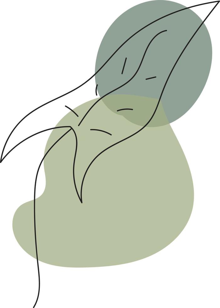 taro leaves line art vector