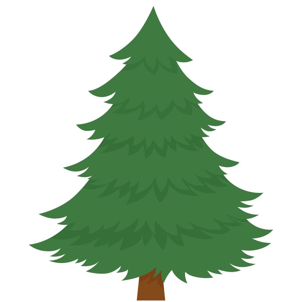 árbol de Navidad aislado sobre fondo blanco. árbol de navidad sin adornos. vector