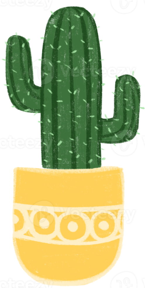 cactus in een geel pot met groot dots png