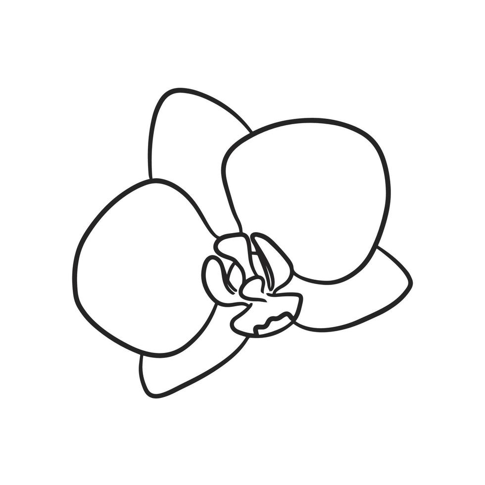 flores de orquídeas en la mano. dibujo de contorno, arte lineal vector