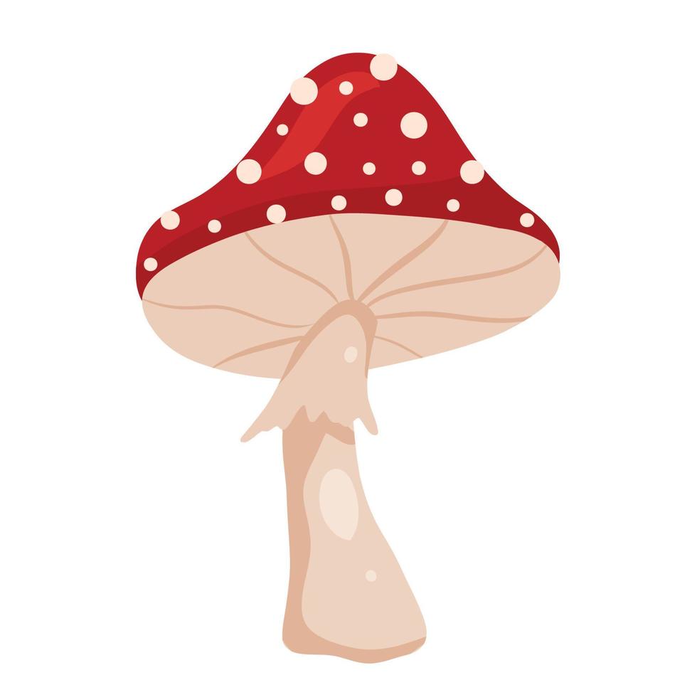 Red mushroom with white dots vector