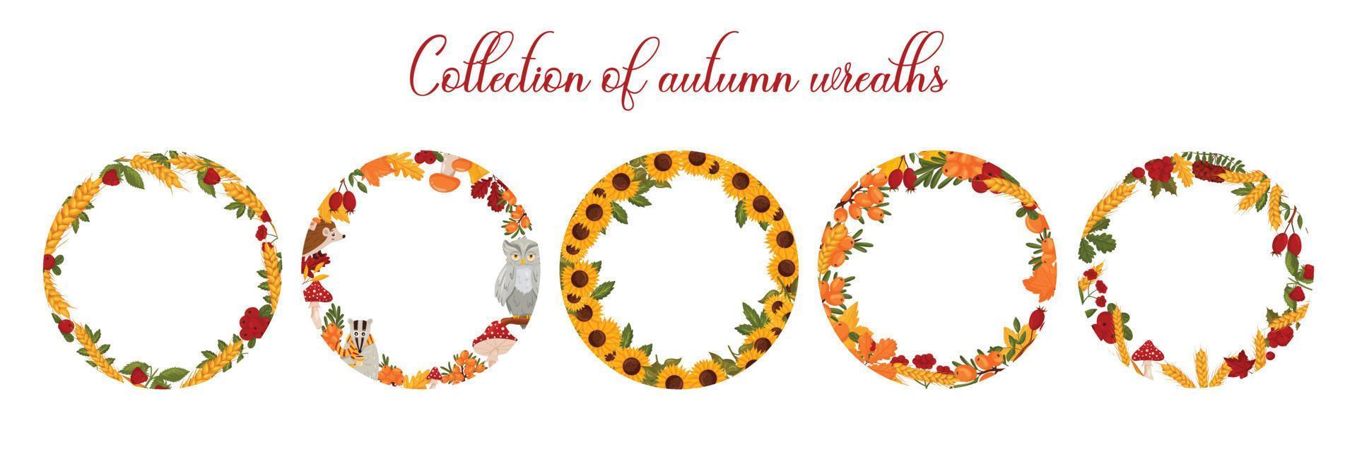 Set autumn wreaths with pumpkins, wheat, berries and mushrooms, sunflowers, forest animals and autumn leaves, with space for text. Vector illustration isolated white background.