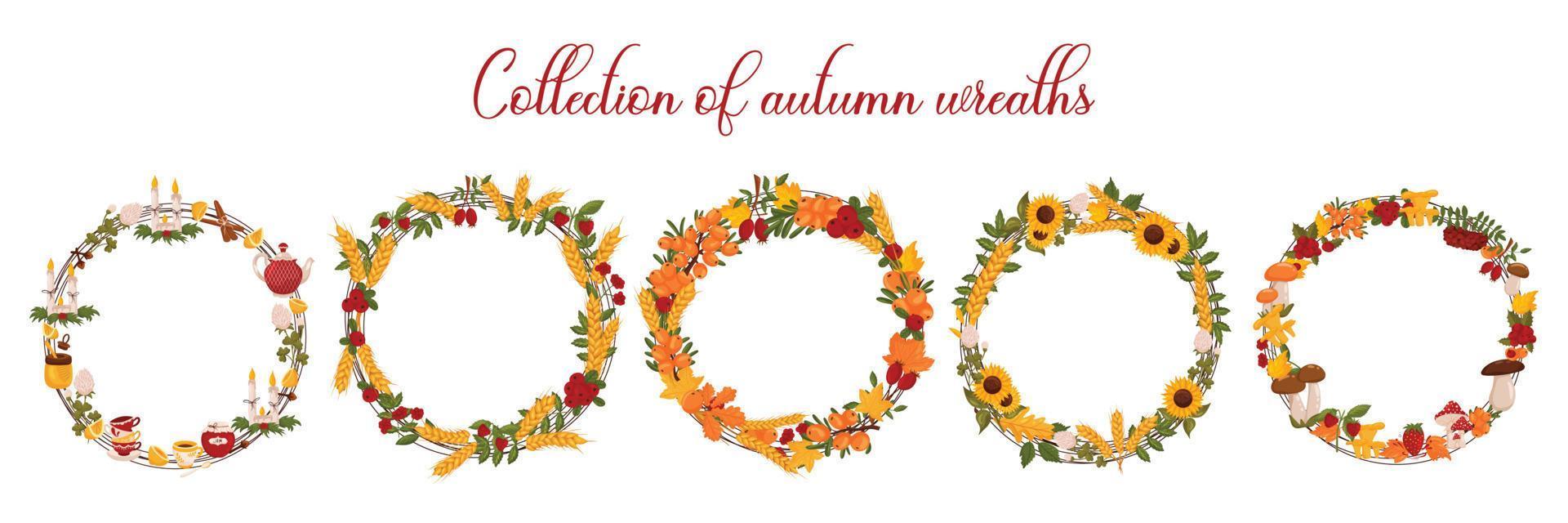 Set autumn wreaths with berries, sunflowers, mushrooms and autumn leaves, elements for tea party, with space for text. Vector illustration isolated white background.