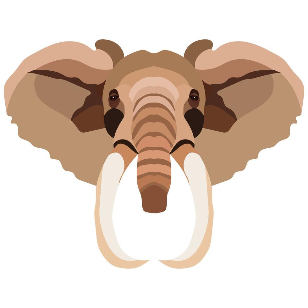 elephant animal wild head colorful character icon vector illustration design