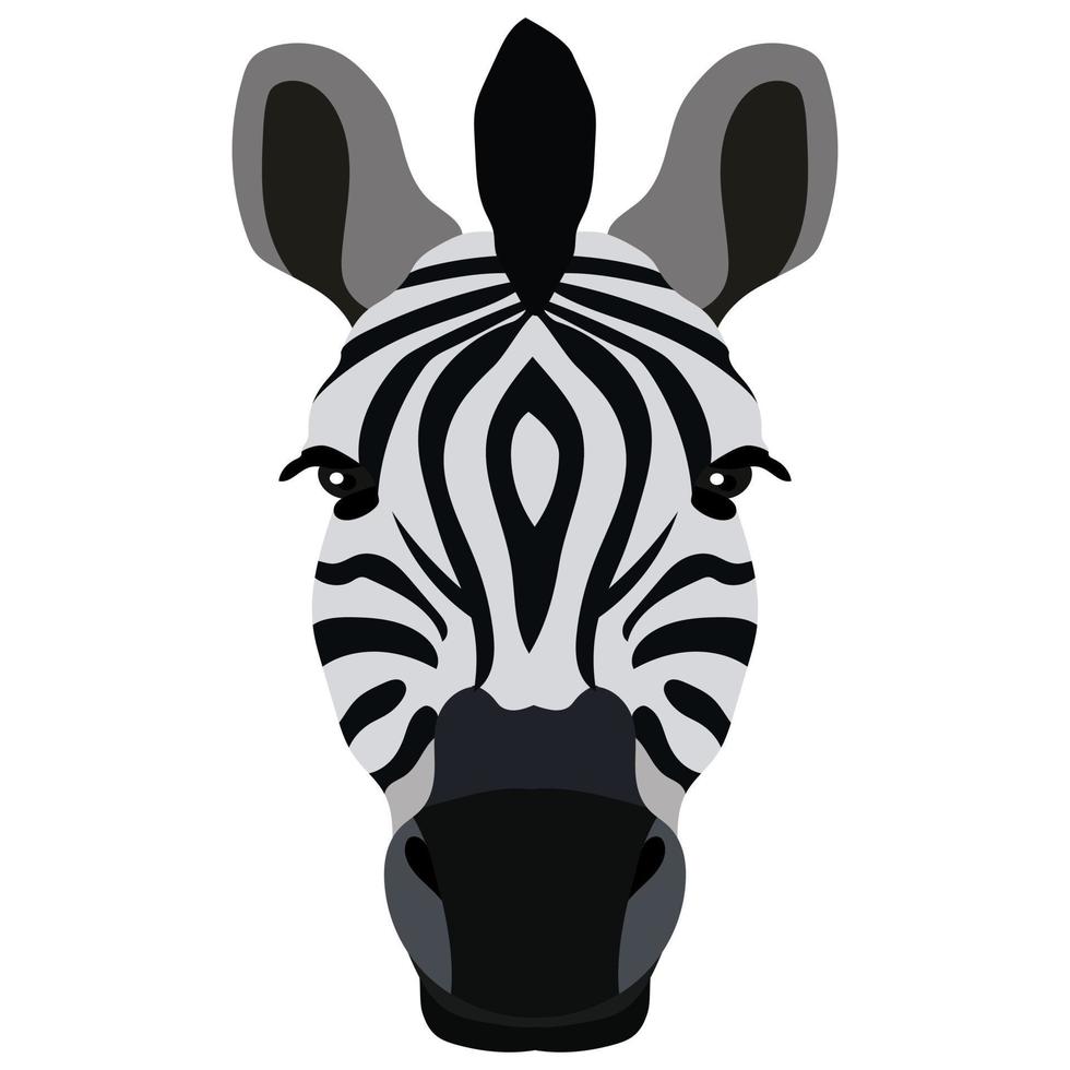 cabeza de cebra, cara animal aislada en la ilustración de vector de fondo blanco. diseño gráfico para logotipo. zoológico de vida silvestre y fauna