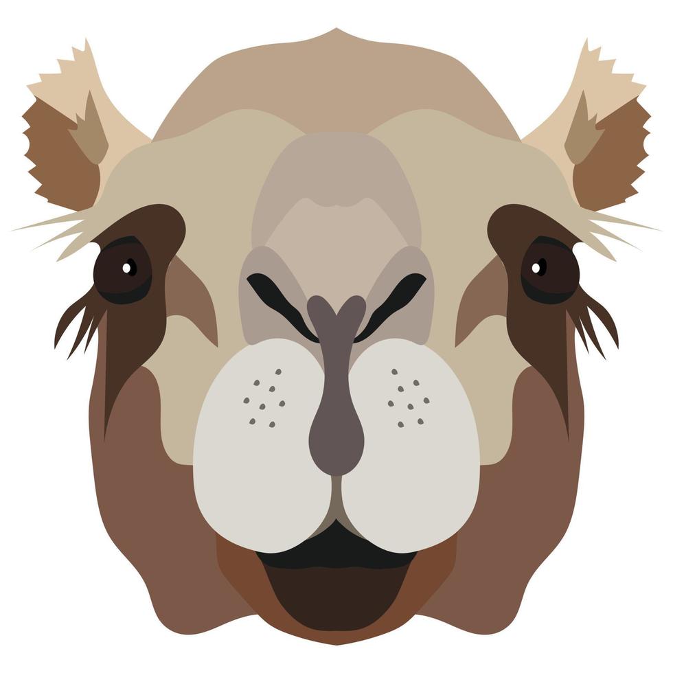 Camel head. An animal with a detailed drawing of parts of the face in brown. The camel is looking straight at you. Vector cartoon illustration