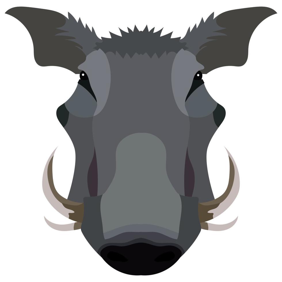 Boar, wild pig animal sketch. Hog or african warthog head isolated vector icon of forest and safari mammal with sharp tusk for hunting club symbol, zoo mascot or wildlife themes design