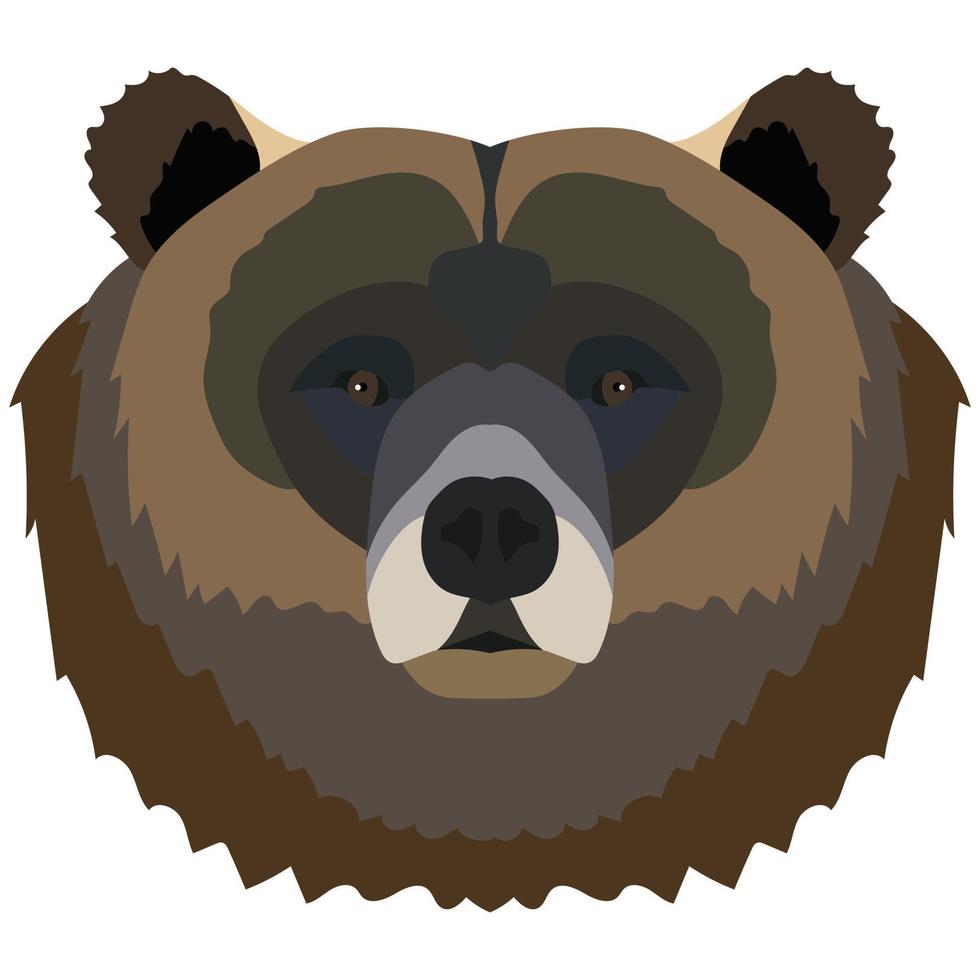 Brown bear head portrait vector illustration isolated on white background