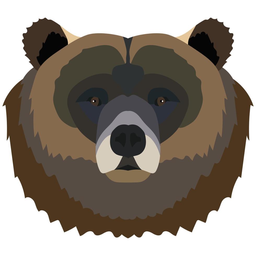 Brown bear head portrait vector illustration isolated on white background