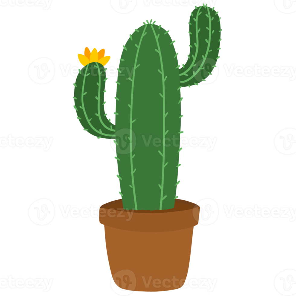 Succulent in Pot Hand Drawn png