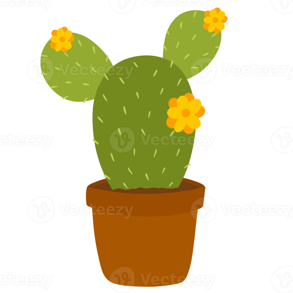 Succulent in Pot Hand Drawn png