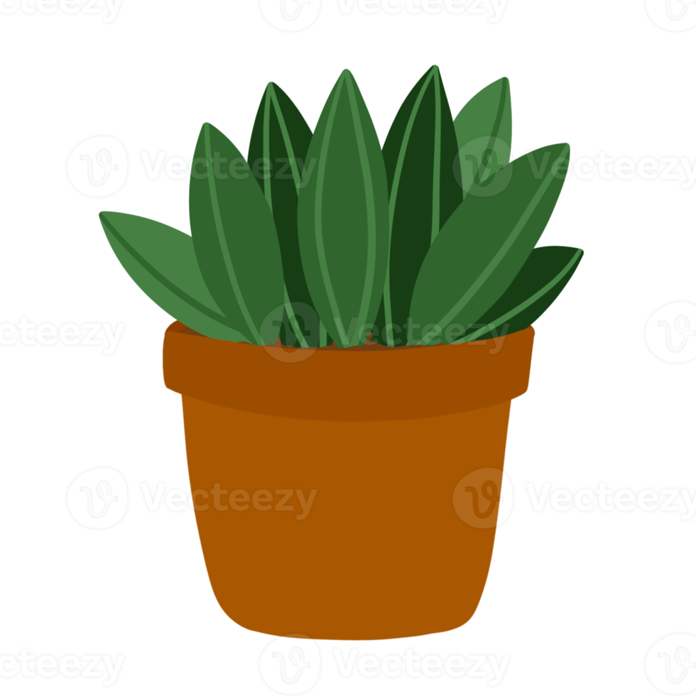 Succulent in Pot Hand Drawn png