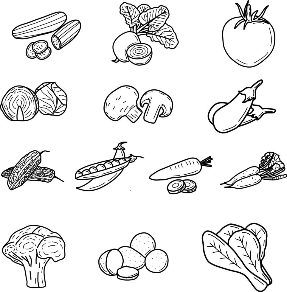 Handdraw doodle of vegetables vector