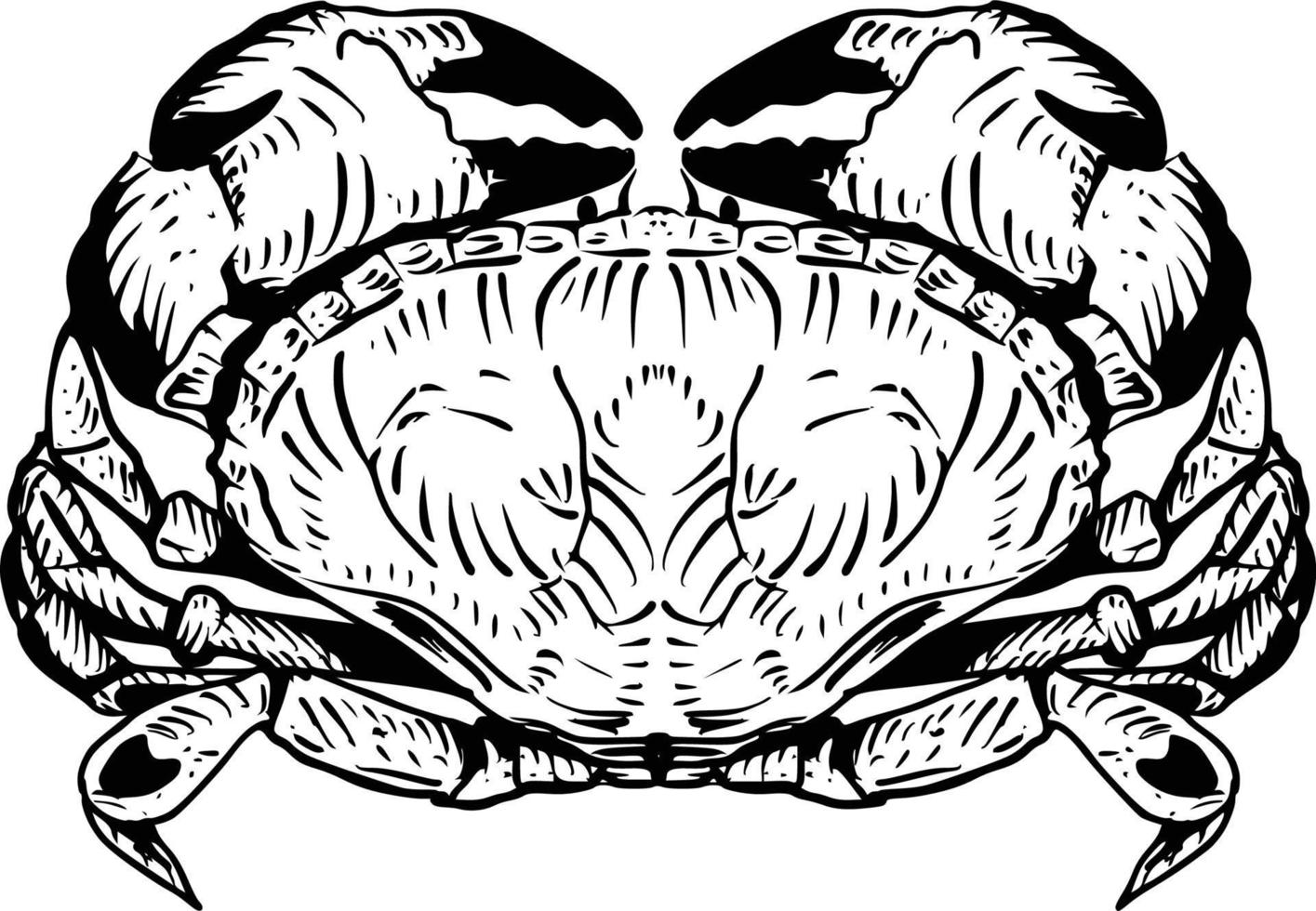 Crab hand drawing vintage engraving illustration on white background