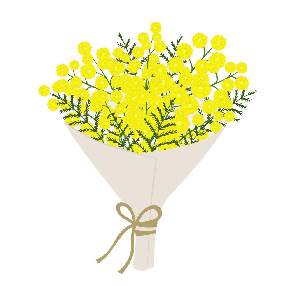 ramo de mimosa. elemento para tarjeta de felicitación vector