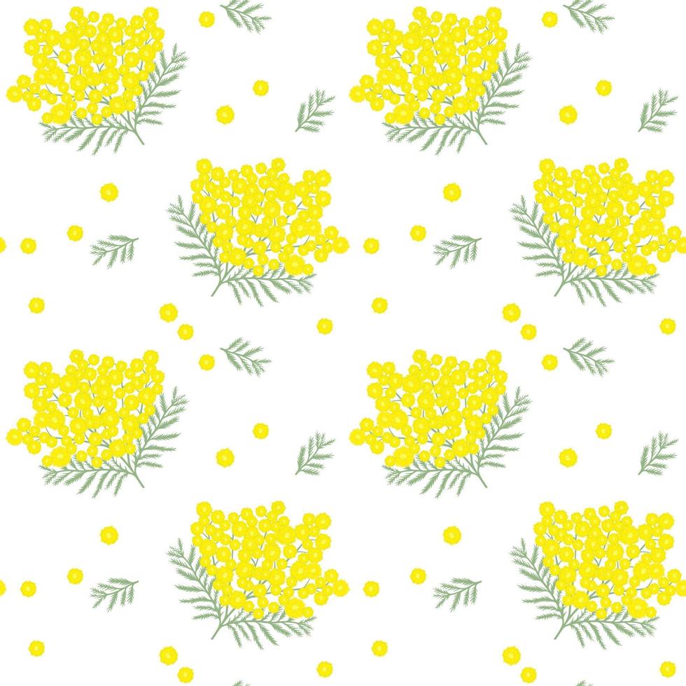 Seamless pattern with mimosa. Spring yellow flowers. vector