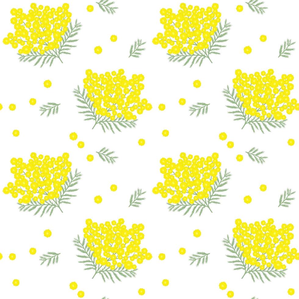 patrón sin costuras con mimosa. flores amarillas de primavera. vector