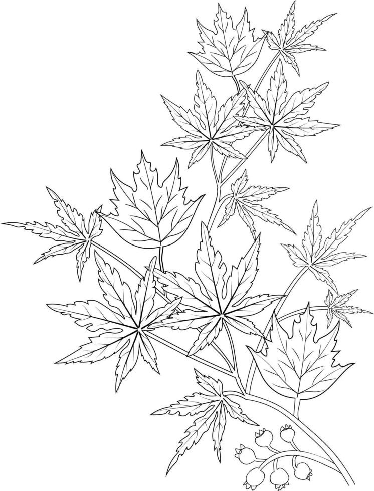 Autumn leaves hand drawn vector illustration coloring page and books isolated on white background clip art,