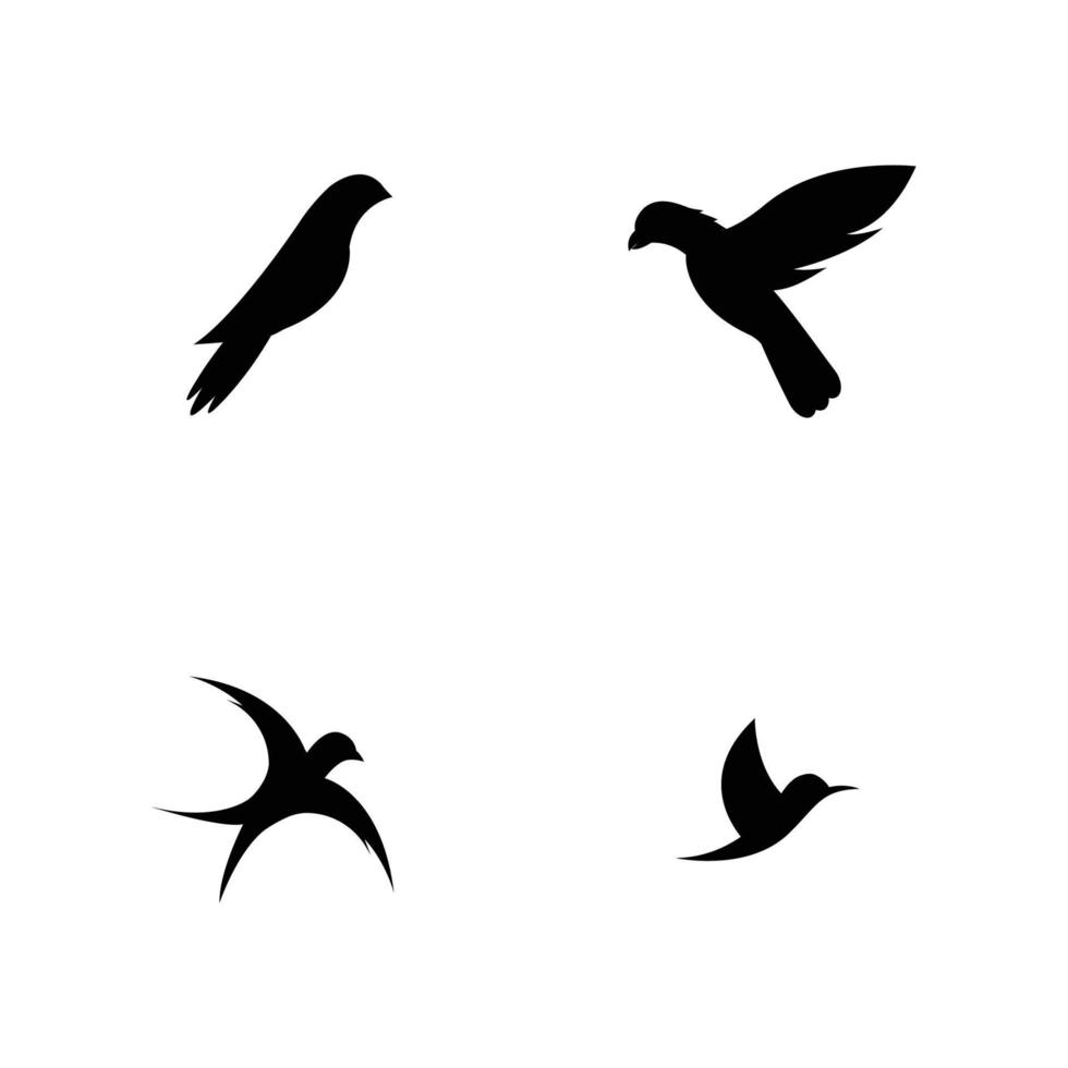 pájaro logo vector