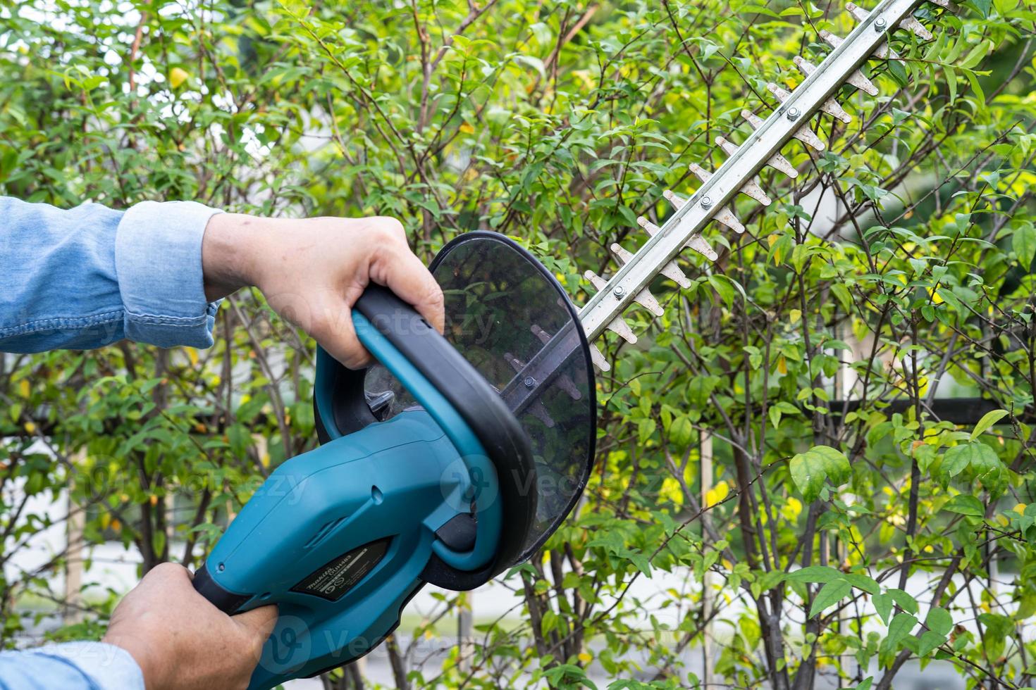 Gardener holding electric hedge trimmer to cut the treetop in garden. photo