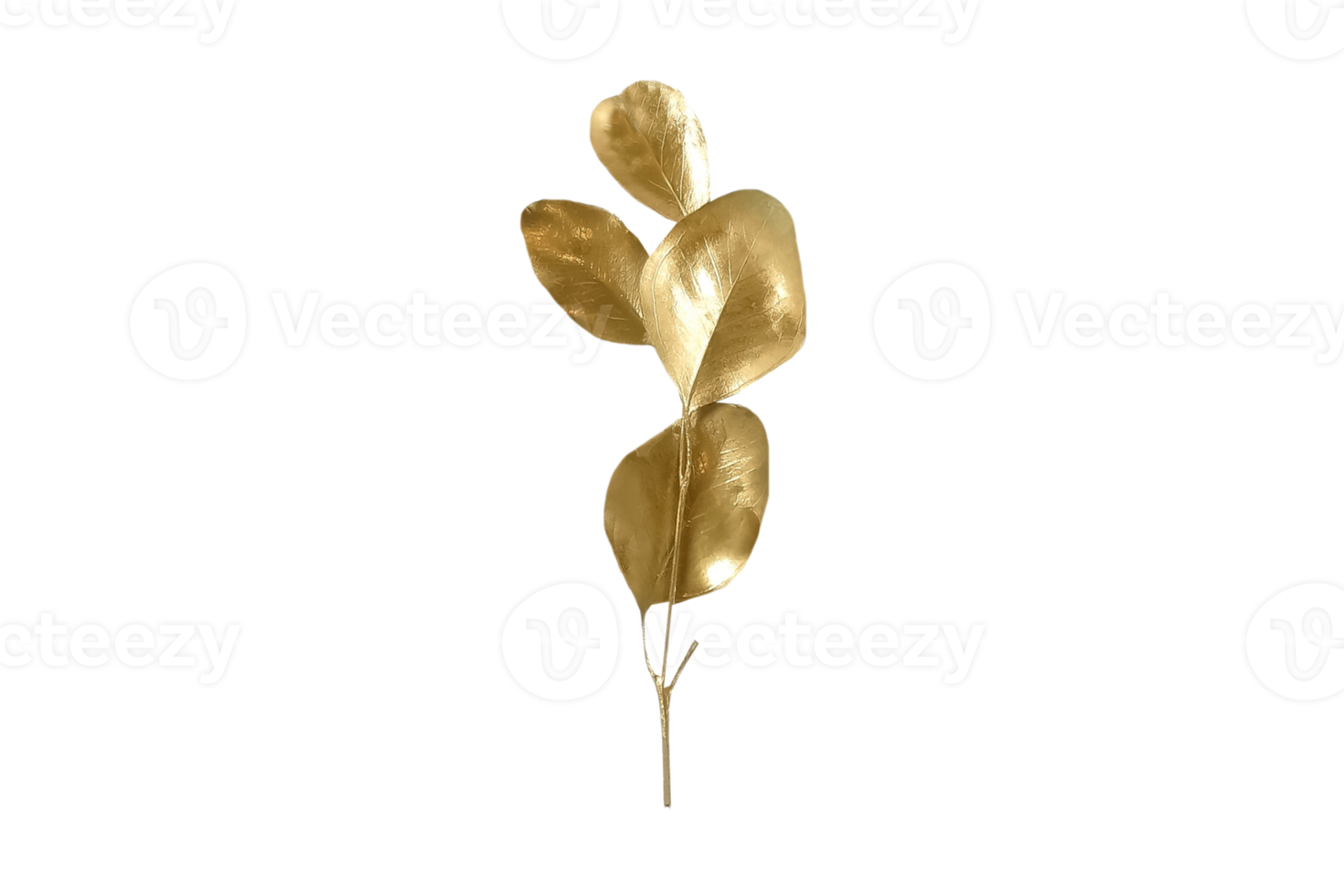 Gold decorative leaves isolated on a transparent background 15329165 PNG