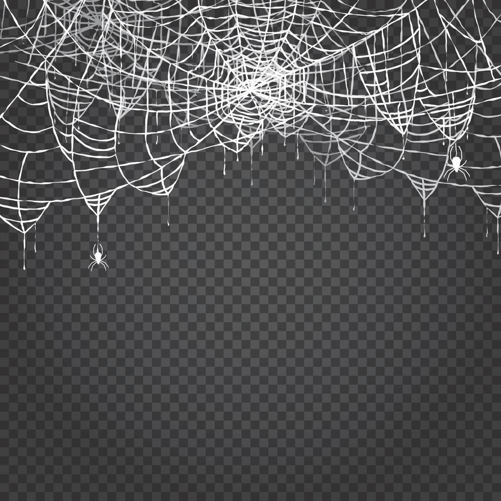 araña y web aislado sobre fondo transparente. vector