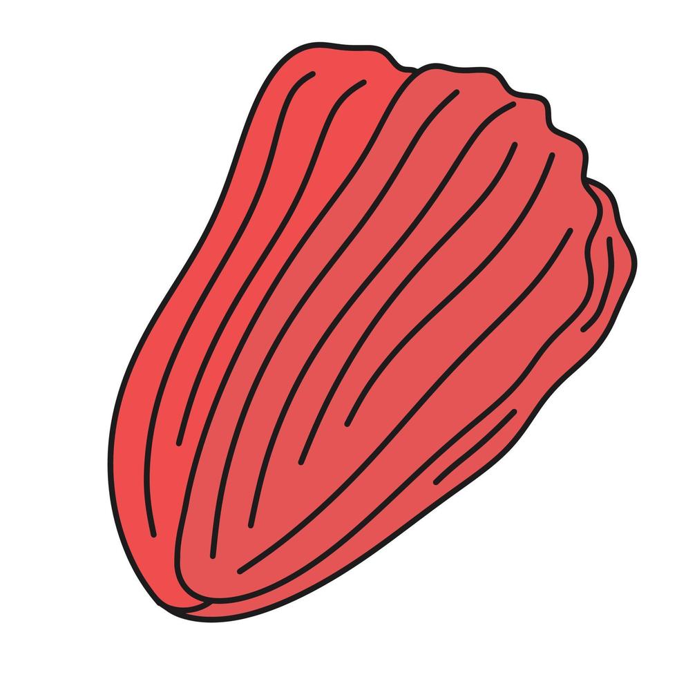 Kimchi - traditional Korean side dish of salted and fermented napa cabbage with Korean chili powder. Simple hand drawn doodle with outline. Contour drawing vector