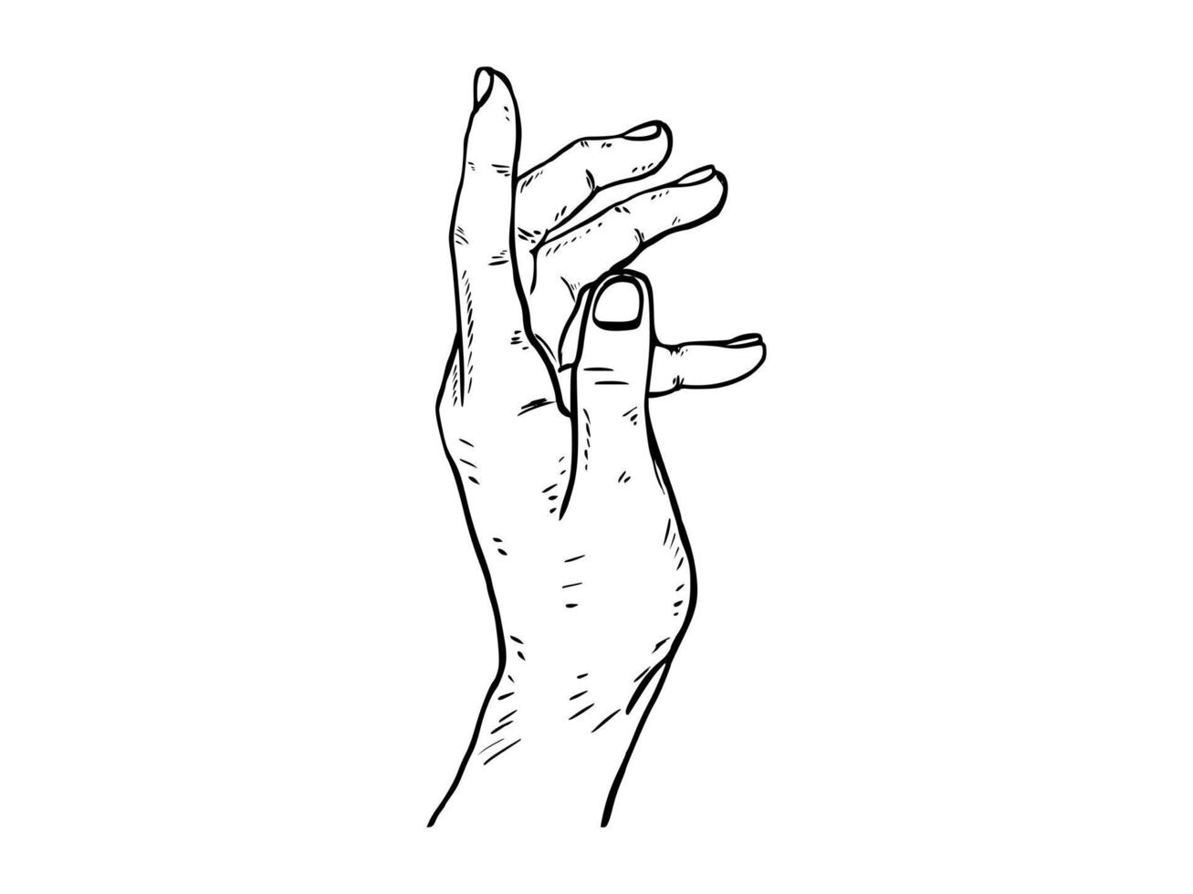 Handdrawn outline hand illustration vector