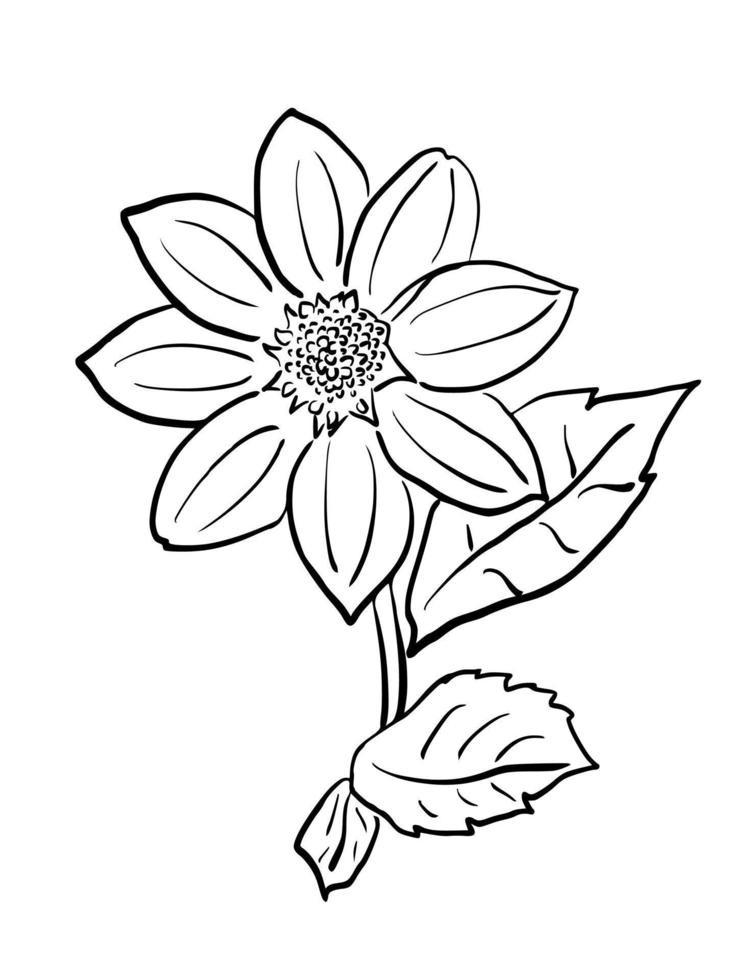 Handdrawn illustration flower for commercial social media nature background promotion event vector