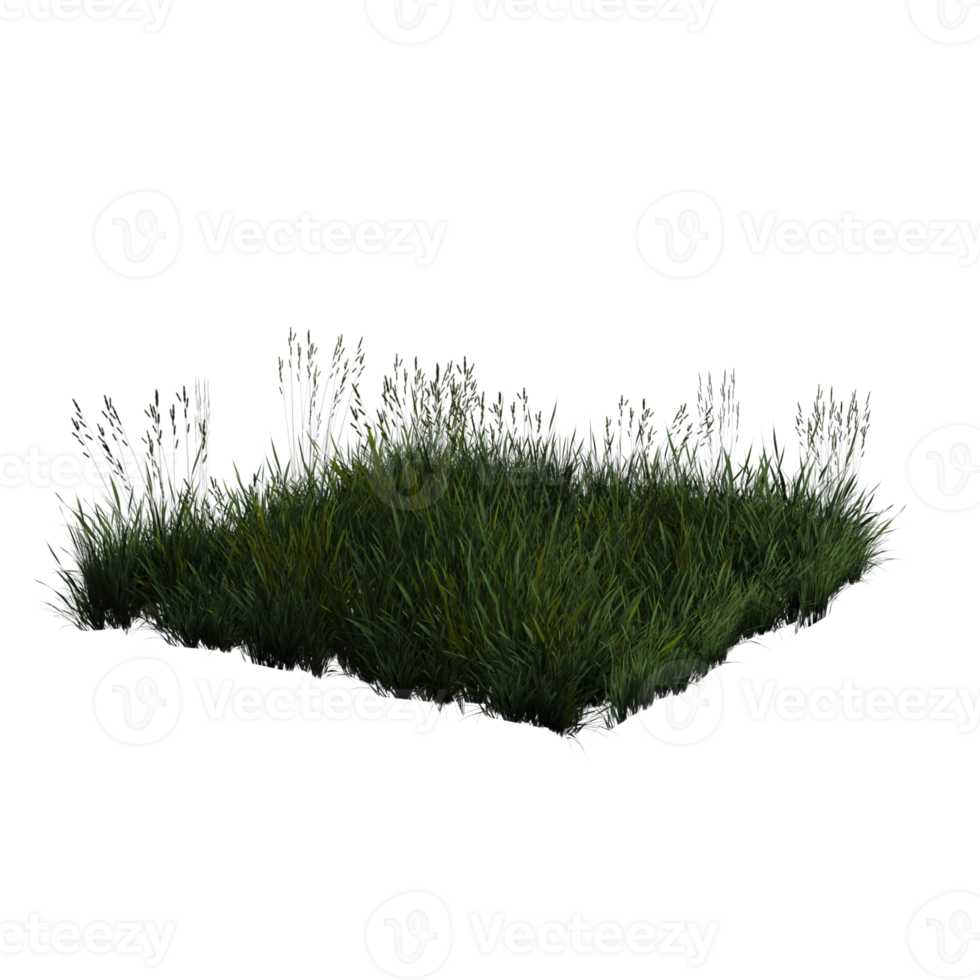 Grass 3d rendering png