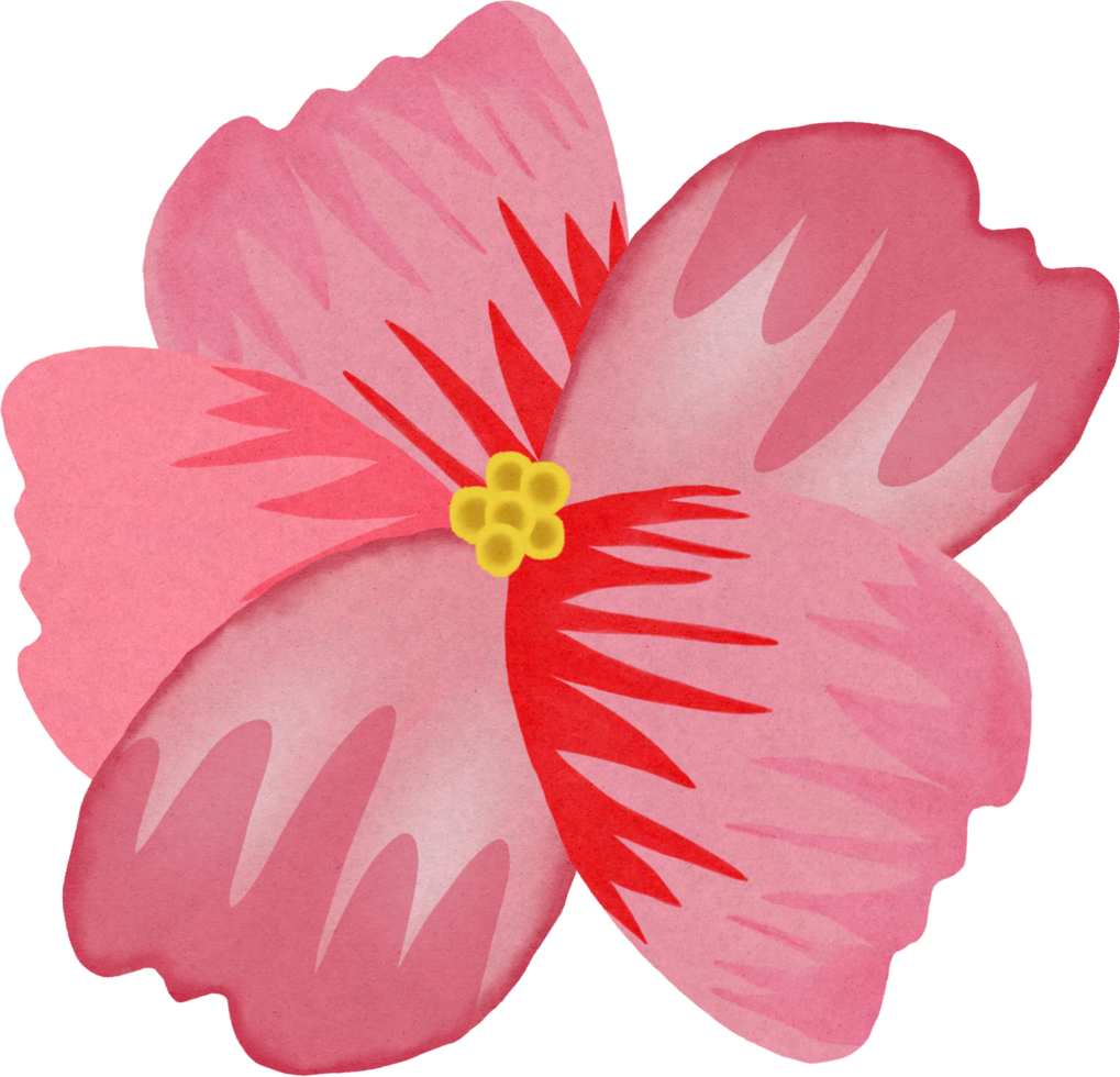 pintura de flor de sakura. png