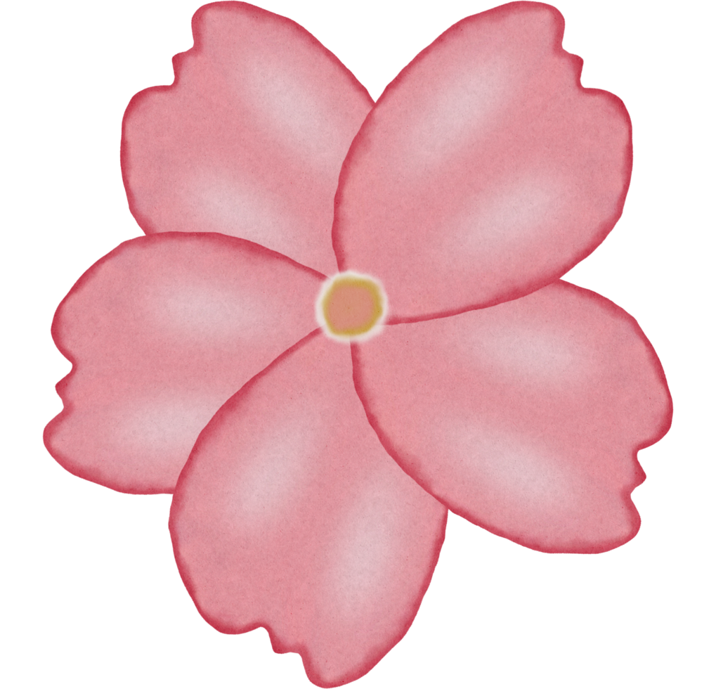 pintura de flor de sakura. png