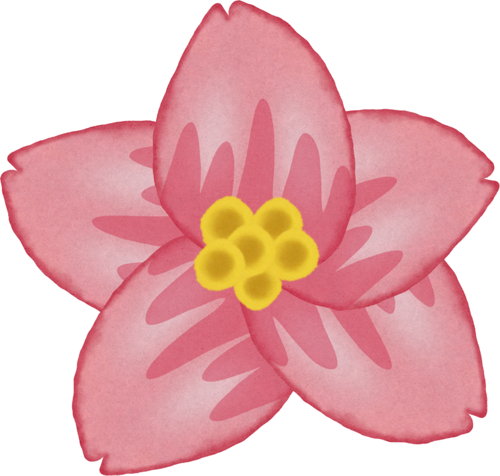 peinture fleur de sakura. png