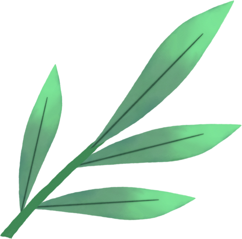 watercolour green leaf png