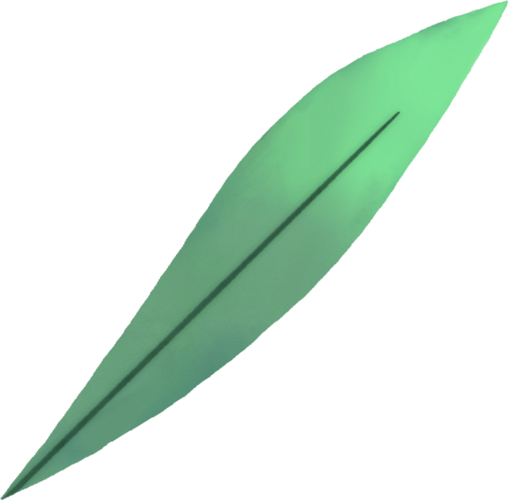 waterverf groen blad png